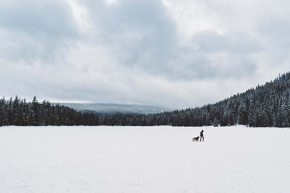 Capture the serene beauty of Trillium Lake as a man and his loyal dog wander through a stunning, snow-blanketed field. This picturesque scene showcases the tranquility of winter, making it perfect for articles, blogs, or promotional materials focused on outdoor adventures, pet companionship, and the charm of snowy landscapes. Ideal for nature lovers and travel enthusiasts looking to evoke the spirit of winter exploration.